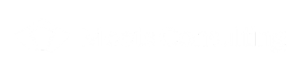 Meets Consulting Inc.